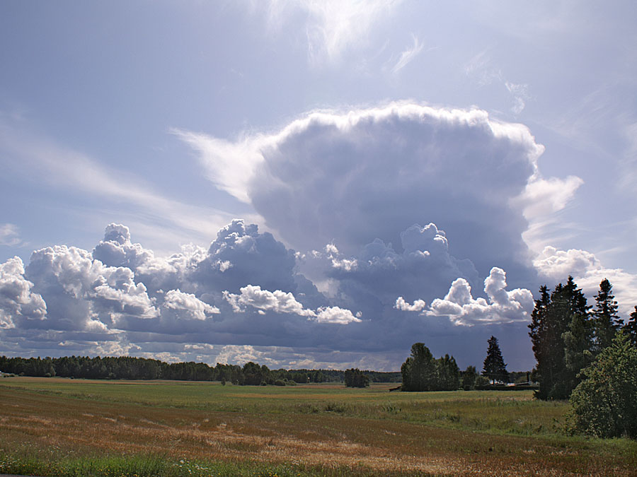 Cumulunimbus