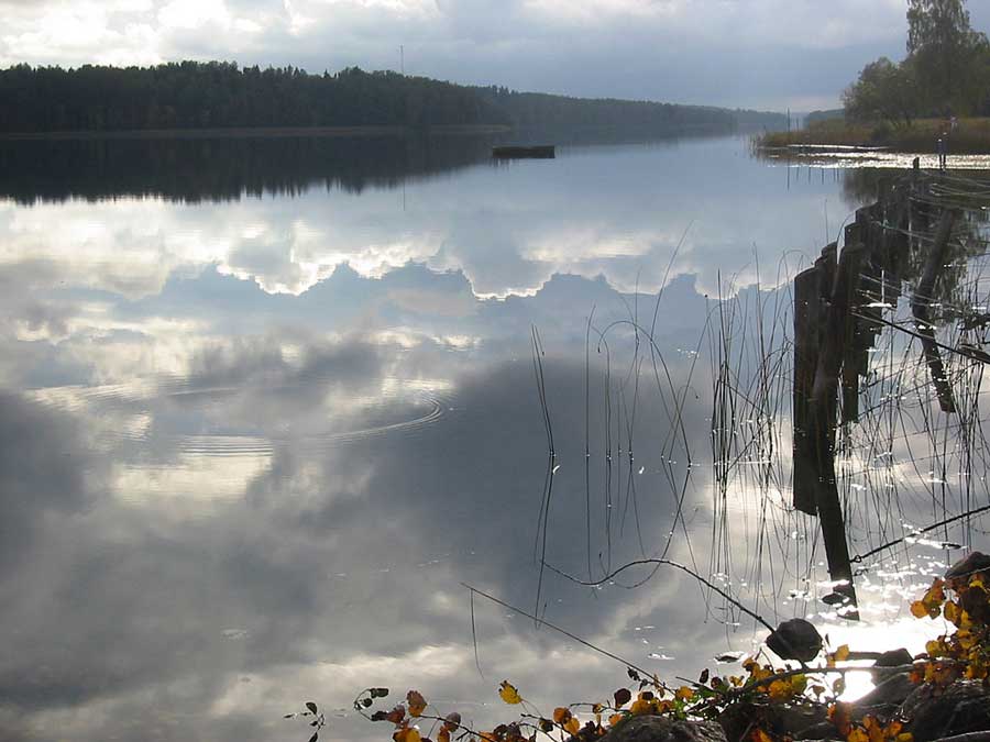 Näshultasjön