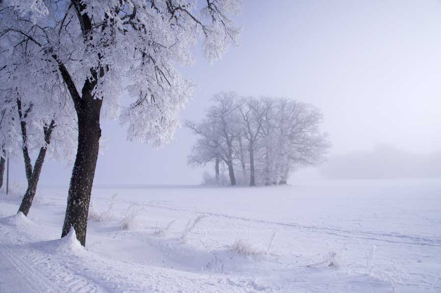 Winter in Sweden