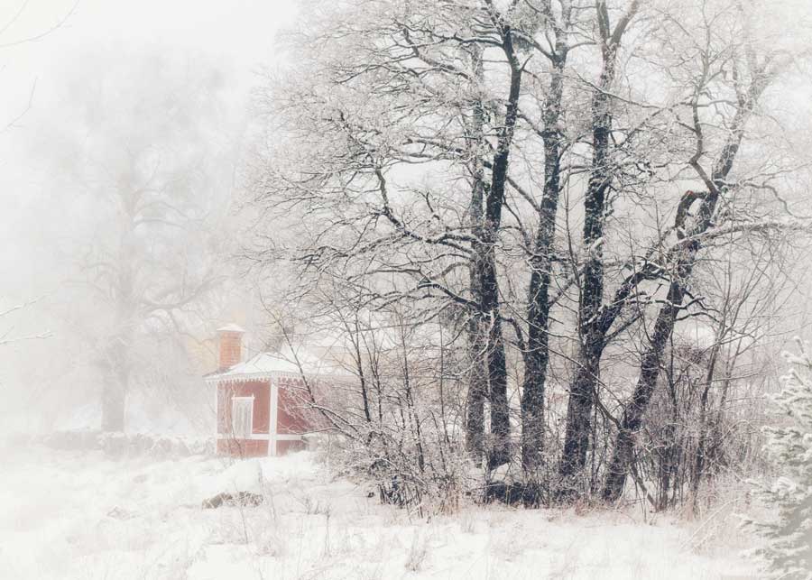Januari 2019
