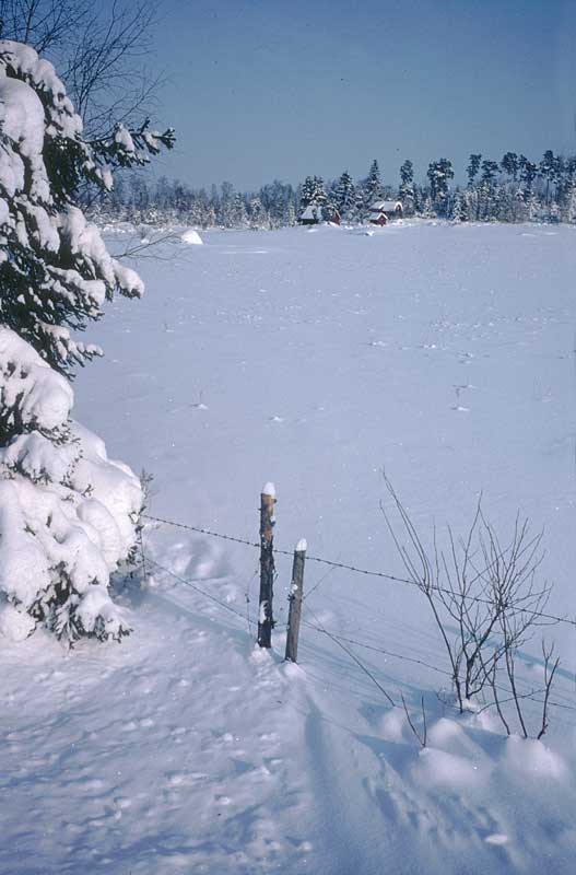 Hedlandet