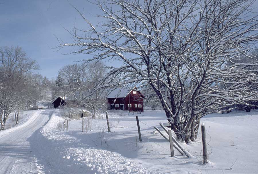 Winter road